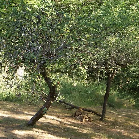 Les Barthes Holiday home