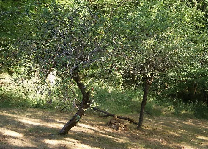 Les Barthes Vakantiehuis